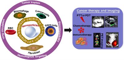 Cell Membrane Coated-Biomimetic Nanoplatforms Toward Cancer Theranostics